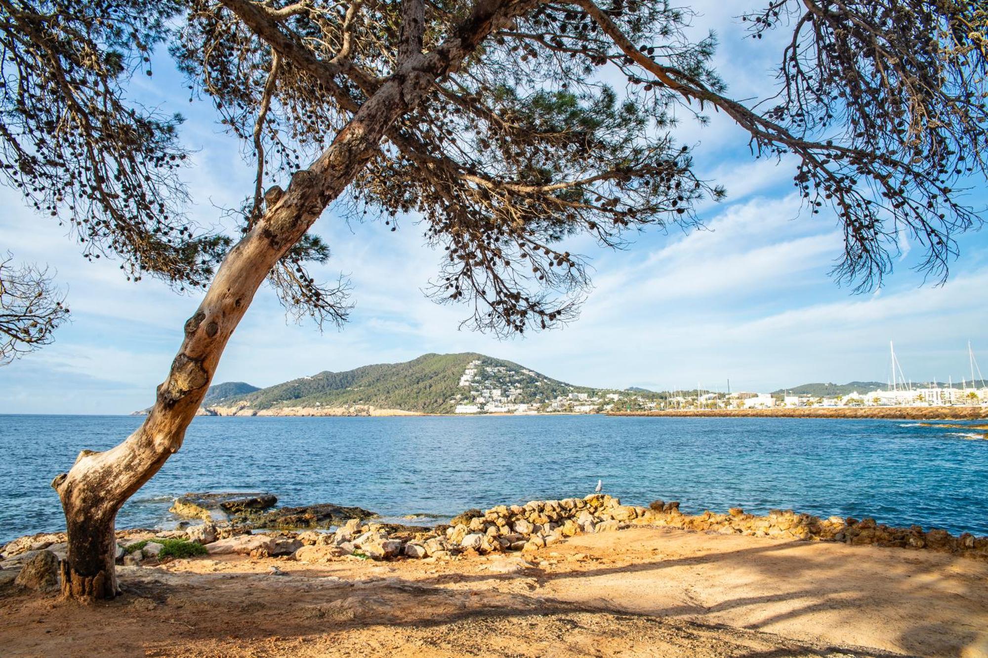 Pierre & Vacances Ros Ibiza Santa Eularia des Riu Luaran gambar